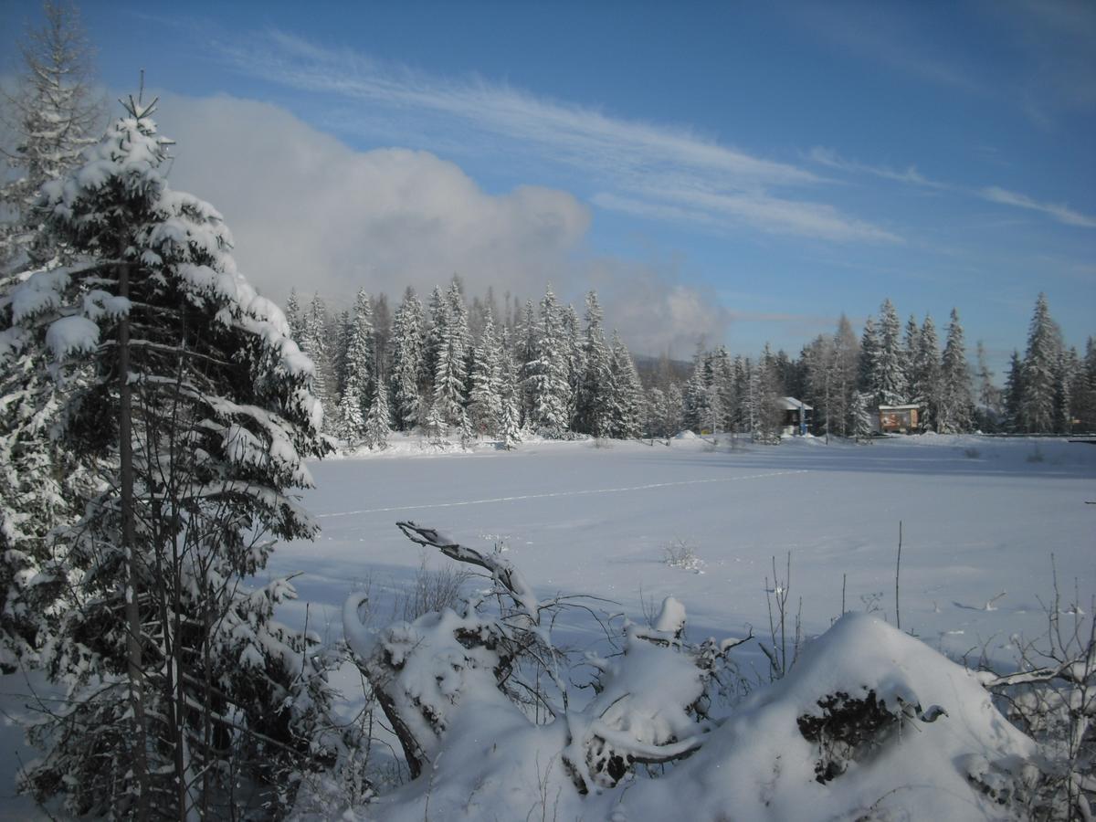 Apartman Panorama 213, Štúdio Comfort Strbske Pleso Exterior foto